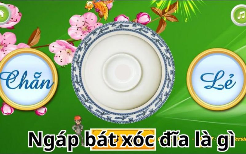 Ngáp bát xóc đĩa là gì?
